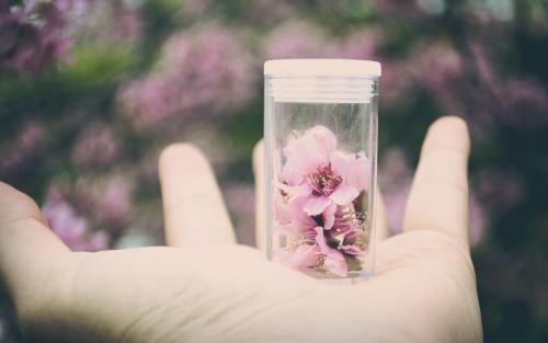 中秋节厦门哪里好玩 春节期间厦门哪里好玩