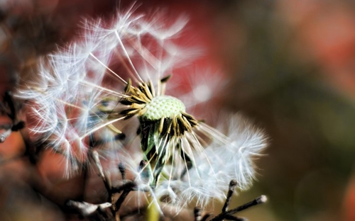 给曾经老师的祝福语教师节