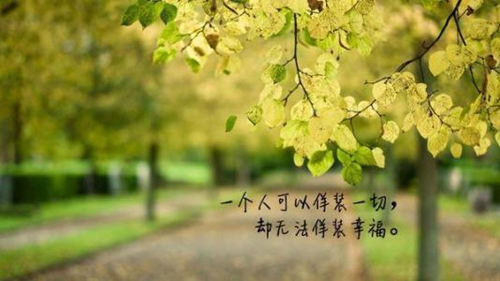 dj舞曲蹦迪中文歌曲