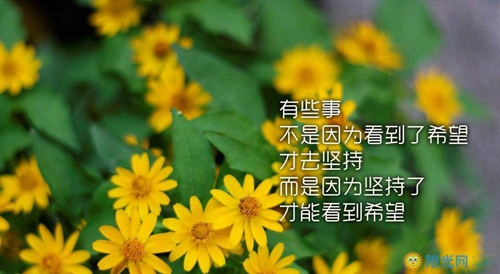 祝教师节快乐的祝福语简单