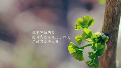 教师节黑板报祝福语